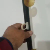 دوعددافتابگیردودی سالم دونه ای صدوپنجاه