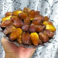 رطب اعلا کبکاب