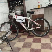 دوچرخه ویوا نو|دوچرخه، اسکیت، اسکوتر|شیراز, داریون|دیوار