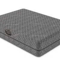 تشک مدل مموری پلاس پدیک دکتر شولز