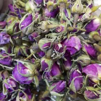 غنچه ی گل محمدی