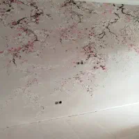 نصاب کاغذ دیواری|خدمات پیشه و مهارت|شیراز, شهرک یاس طلاییه|دیوار