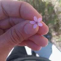 مدارک گم کردم