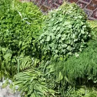 سبزی خورشتی اش کوکو