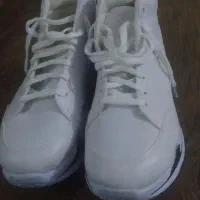 کتانی نیم بت