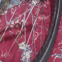 سالم|دوچرخه، اسکیت، اسکوتر|زهک, |دیوار