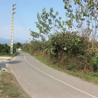 تنکابن۸۰۰مترلب آسفالت سند۶دانگ ۲ دقیقه تا دریا|فروش زمین و ملک کلنگی|شیرود, |دیوار