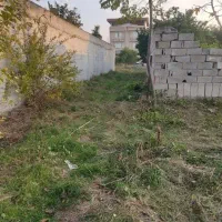 فروش زمین باغ