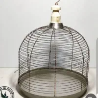 قناری‌خاکی