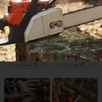 خرید انواع چوب گردو سنوبر بید قیمت توافقی