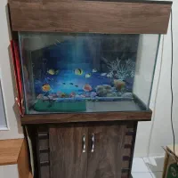 اکواریوم ایستاده