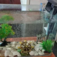 آکواریوم و متعلقات