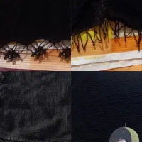 تولیدی ثوب عربی، بزرگسال،بچگانه شیله و تزئین عبا|لباس|خرمشهر, |دیوار