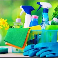 خانم هستیم کار در منزل