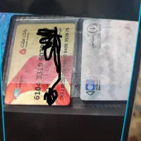 مدارک گمشده