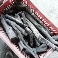 زغال کبابی لیمو و طاق