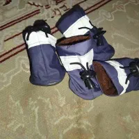 سینی ادرار سگ و پا پوش سگ|لوازم جانبی حیوانات|محمدشهر, سیدآباد|دیوار