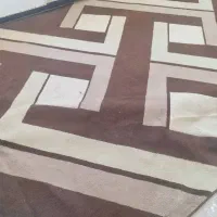 فروش چند قلم موکت و گلیم فرش تمیز باهم|موکت|شوش, |دیوار