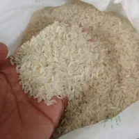 برنج هاشمی گیلان