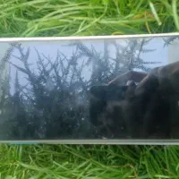 تبلت Lenovo|تبلت|لواسان, |دیوار