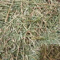 یونجه خورد شده جهت خرگوش خوکچه همستر و..