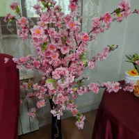 تزئینی|مجسمه، تندیس، ماکت|بندر انزلی, امامزاده|دیوار
