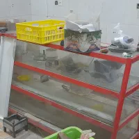 یخچال بستنی