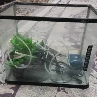 آکواریوم شیشه خم شرکتی  با وسایل کامل (پمپ خراب)