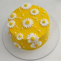 کیک خانگی مریم بانو|خوردنی و آشامیدنی|پاکدشت, شهرک امام رضا|دیوار