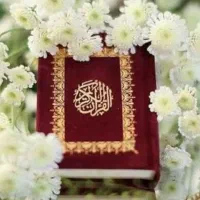 قاری قرآن ، مداح مجالس ترحیم ، روضه خوان