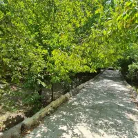 پیش-فروش-مغازه