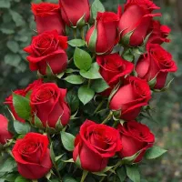 نیازمند 80ملیون
