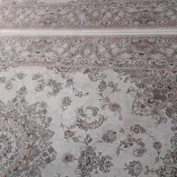 فرش ۶ متری ۷۰۰ شانه|فرش|تهران, سازمان برنامه جنوبی|دیوار