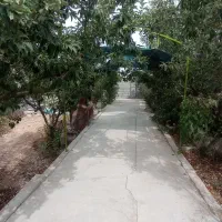 باغ-و-ویلا