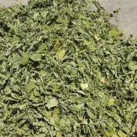 سبزی خشک|خوردنی و آشامیدنی|شیراز, گل سرخ|دیوار