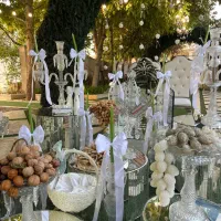باغ تالار لوکس آرزوها (مهرویلا )
