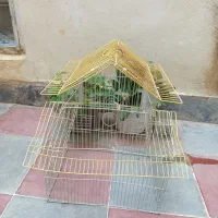 یک عدد قفس طو طی