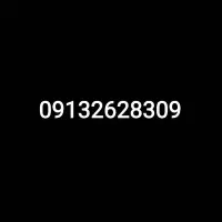 خط 913 دائمی