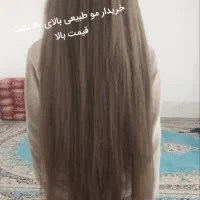 خرید و فروش موی طبیعی، رنگ شده و حنایی