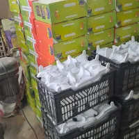 کباب گیر خانگی آلومینیوم