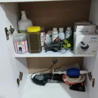 آکواریم شیشه خم