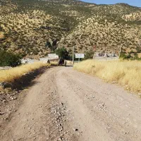 کود شیمیای اوره