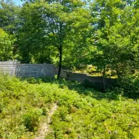 زمینی به متراژ ۲۲۵مترمربع واقع در دهستان اتو