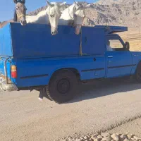 خریدوفروش اسب