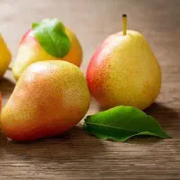 فروش نهال گلابی بارتلت|خدمات باغبانی و درختکاری|داران, |دیوار