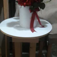 فروش صندلی چرخدار ونیز خاطرات ب گل مصنوعی