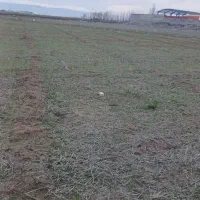 زمین کشاورزی