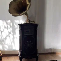 گرامافول تازه آکبند