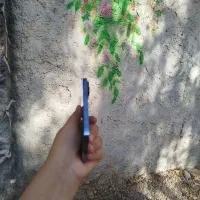 آیفون 13پرو 2سیم|موبایل|فسا, |دیوار