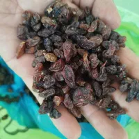 کشمش ومویز|خوردنی و آشامیدنی|ارومیه, |دیوار